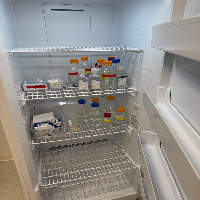 Thermo -20C Freezer image 0